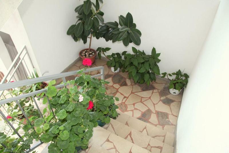 Apartments Villa Ravlic Makarska Exterior photo